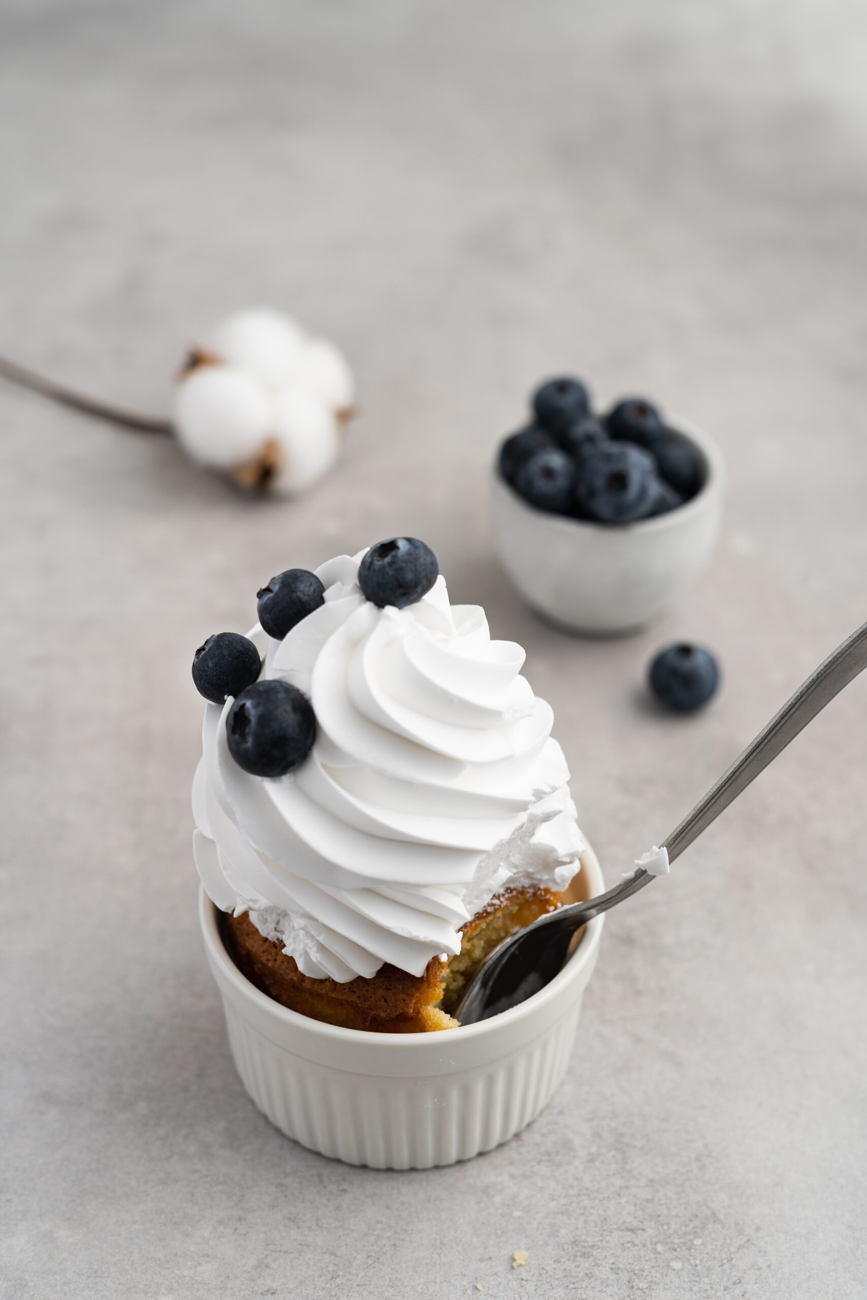 Elevate Your Desserts: Exploring Whipped Cream Dispensers and Accessories