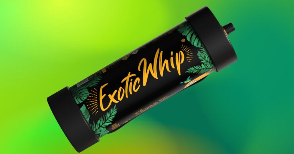 Exotic Whip Review_ The Speed Demon of Whip Chargers