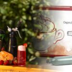 Πρόσφατα Άρθρα