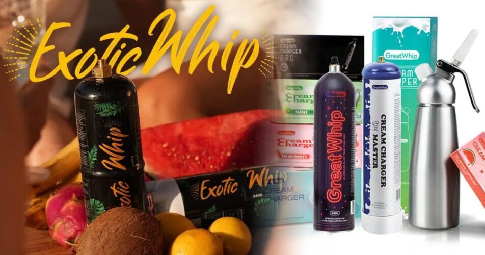 Lo Que Necesitas Saber sobre Exotic Whip y GreatWhips